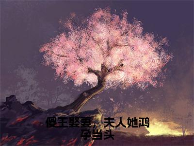 霍大宝陈小燕（傻王娶妻，夫人她鸿孕当头）全文免费阅读无弹窗完整版，（霍大宝陈小燕）免费阅读全文最新章节列表_笔趣阁