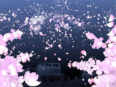 （免费）+（结局）左嫣宋淮声美文欣赏完整版，左嫣宋淮声精彩章节在线阅读