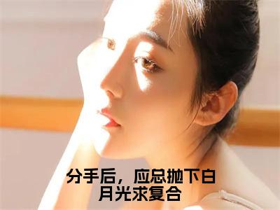 分手后，应总抛下白月光求复合（司沐颜应司寒）全文免费阅读无弹窗大结局_分手后，应总抛下白月光求复合最新章节列表