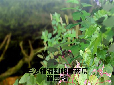 嵇绍莹程嘉裕（嵇绍莹程嘉裕）是什么小说-（年少情深到相看两厌程嘉裕）无弹窗免费阅读大结局最新章节列表_笔趣阁