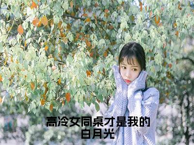 热门小说林舟许念初全文免费阅读无弹窗大结局-高冷女同桌才是我的白月光全文无弹窗免费阅读大结局