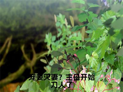 谢莞小说全文无删减-宠妾灭妻？主母开始刀人了谢莞小说大结局免费阅读