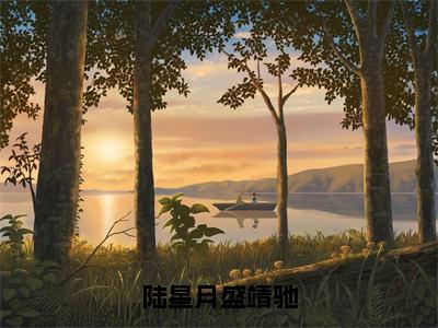 陆星月盛靖驰（盛靖驰陆星月）免费阅读完整版-（陆星月盛靖驰小说）盛靖驰陆星月全文大结局已完结