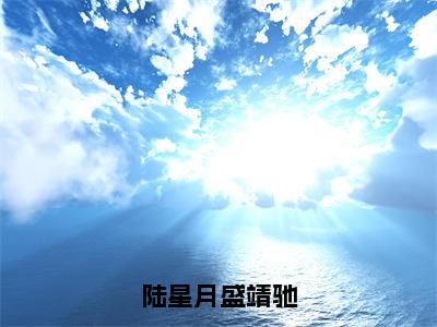 陆星月盛靖驰（盛靖驰陆星月）全文免费阅读无弹窗大结局_盛靖驰陆星月小说最新章节列表