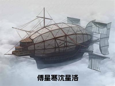 沈星洛傅星寒（傅星寒沈星洛）全文免费阅读无弹窗大结局_沈星洛傅星寒最新章节列表_笔趣阁