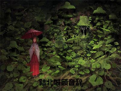 陆北城顾音辞（陆北城顾音辞）全文免费阅读无弹窗大结局_（陆北城顾音辞免费阅读全文大结局）最新章节列表