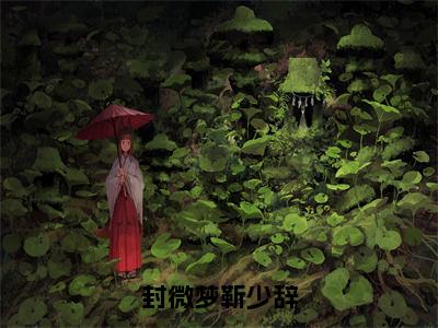 封微梦靳少辞（靳少辞封微梦全章节完整版）免费阅读_（封微梦靳少辞）靳少辞封微梦全文无删减免费阅读