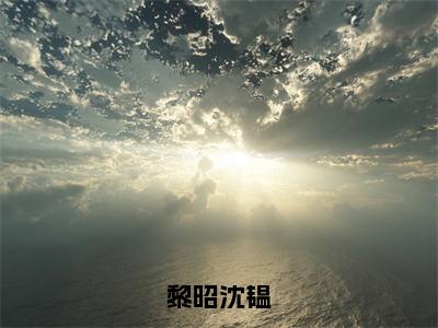 黎昭沈韫（黎昭沈韫）小说全文无删减版完整版_黎昭沈韫最新章节列表_笔趣阁