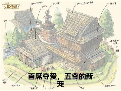 小说《首席夺爱，五爷的新宠》全文免费阅读无弹窗-首席夺爱，五爷的新宠（宁安莫向离）小说全文在线赏析_笔趣阁