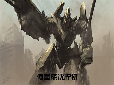 沈柠初傅墨琛（傅墨琛沈柠初）全文免费阅读无弹窗-傅墨琛沈柠初完整版全文在线赏析