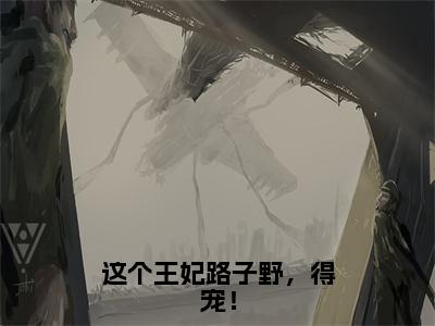 青衣杜明月（这个王妃路子野，得宠！小说）全文免费阅读无弹窗大结局_这个王妃路子野，得宠！小说最新章节列表_笔趣阁（青衣杜明月）