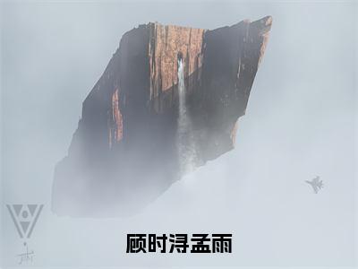 顾时浔孟雨（顾时浔孟雨）火热新书无弹窗大结局_（顾时浔孟雨）顾时浔孟雨最新章节列表_笔趣阁