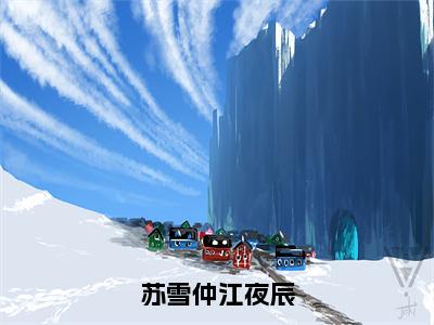 苏雪仲江夜辰（江夜辰苏雪仲）全文免费阅读无弹窗大结局_苏雪仲江夜辰免费阅读无弹窗