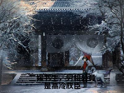 二嫁书生，穷相公竟是高冷权臣（温玉雪）全文免费阅读_温玉雪正版小说全文阅读