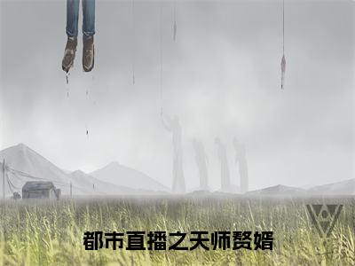 杨艺（都市直播之天师赘婿）小说全文无删减版在线阅读_都市直播之天师赘婿（杨艺无弹窗）_笔趣阁