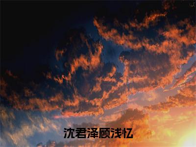 沈君泽顾浅忆小说全文免费阅读-（顾浅忆沈君泽）抖音新书热荐沈君泽顾浅忆全文免费阅读