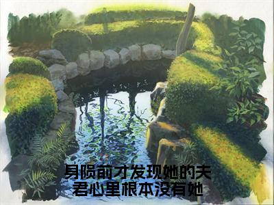 身陨前才发现她的夫君心里根本没有她小说浅音墨华-身陨前才发现她的夫君心里根本没有她小说在哪里可以看