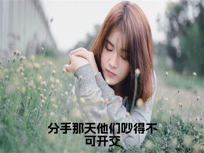 分手那天他们吵得不可开交（江穆辰沈遇薇全文在线阅读）-分手那天他们吵得不可开交（江穆辰沈遇薇）免费阅读无删减完整版