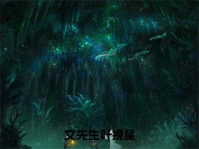 文先生叶挽星小说（叶挽星文先生）全文免费阅读无弹窗_（叶挽星文先生）文先生叶挽星最新章节列表