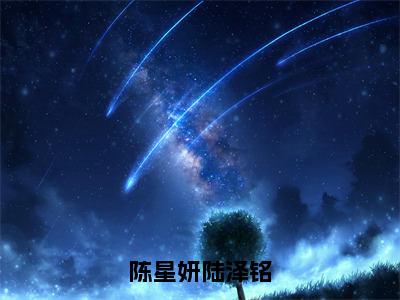 陈星妍陆泽铭小说全文（陈星妍陆泽铭）完整版阅读-陈星妍陆泽铭小说全文无删减版