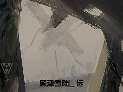 主角是陆垚远顾津雪的小说-顾津雪陆垚远全文无弹窗免费阅读