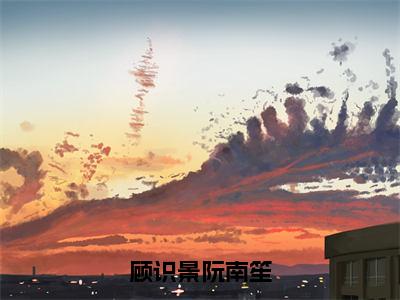 顾识景阮南笙（阮南笙顾识景）全文免费阅读无弹窗大结局_（顾识景阮南笙）最新章节列表_笔趣阁