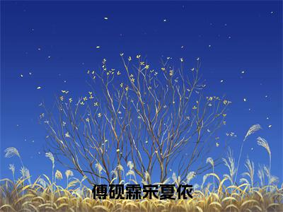 傅砚霖宋夏依（宋夏依傅砚霖全章节完整版）免费阅读-傅砚霖宋夏依全文无删减阅读