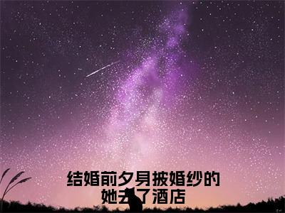 结婚前夕身披婚纱的她去了酒店全文小说（林凡）全文阅读-结婚前夕身披婚纱的她去了酒店在线小说免费阅读