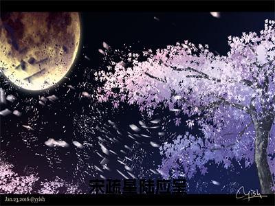 陆应呈宋疏星完整版（宋疏星陆应呈小说）全文免费阅读无弹窗大结局_宋疏星陆应呈最新章节