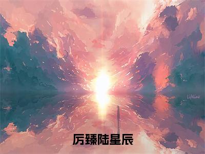 厉臻陆星辰（陆星辰厉臻）全文完整版免费阅读-主角叫陆星辰厉臻的小说厉臻陆星辰