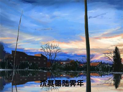 沈其蓁陆霁年（沈其蓁陆霁年）全文免费阅读无弹窗大结局_沈其蓁陆霁年最新章节列表_笔趣阁（沈其蓁陆霁年）