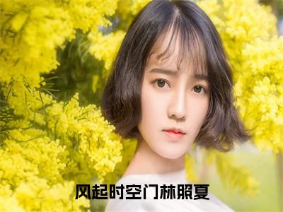 林照夏（风起时空门林照夏）全文免费阅读无弹窗大结局_（林照夏阅读无弹窗）风起时空门林照夏最新章节列表