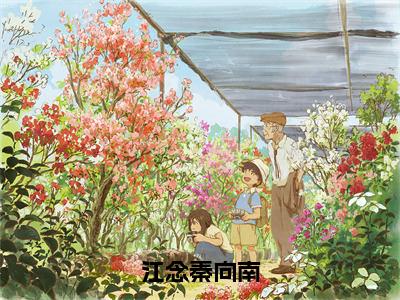 江念秦向南（江念秦向南全章节完整版）免费阅读_（江念秦向南）江念秦向南全文无删减免费阅读