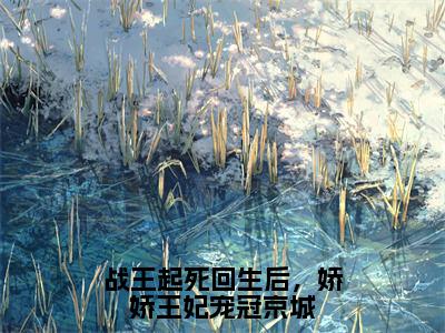 战王起死回生后，娇娇王妃宠冠京城（云九棠穆沧凛）最新章节在线阅读-老书虫推荐战王起死回生后，娇娇王妃宠冠京城小说