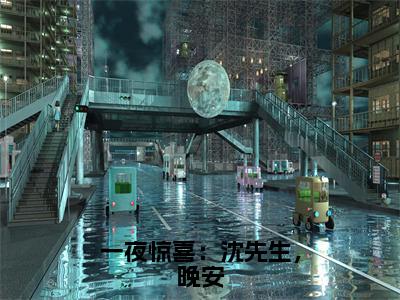 一夜惊喜：沈先生，晚安（夏初沈寒川）全文免费阅读_一夜惊喜：沈先生，晚安（夏初沈寒川）最新章节列表笔趣阁