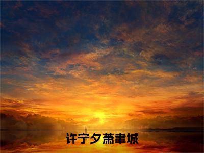 许宁夕萧聿城（许宁夕萧聿城）全文免费阅读无弹窗大结局_许宁夕萧聿城小说（许宁夕萧聿城）最新章节列表