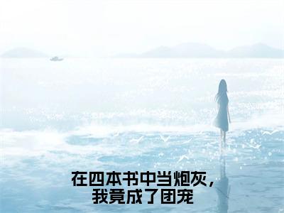 叶循许聆风（在四本书中当炮灰，我竟成了团宠）小说全文无删减-叶循许聆风小说免费阅读大结局