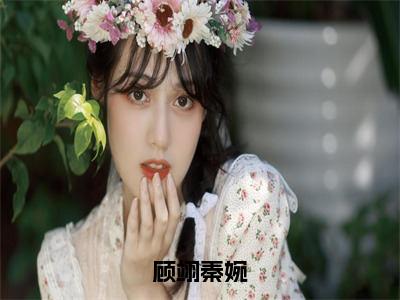 顾翊秦婉免费小说-顾翊秦婉完结版在线阅读