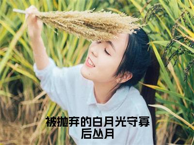 被抛弃的白月光守寡后丛月（丛月）全文免费阅读无弹窗大结局_被抛弃的白月光守寡后丛月最新章节列表_笔趣阁