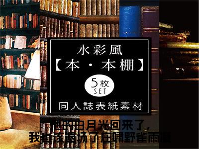 他的白月光回来了，我也该退场了庄啸野雀雨凝 雀雨凝庄啸野正版美文欣赏 雀雨凝庄啸野小说全文完整版免费阅读