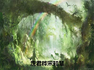 宋知慧沈君桦（沈君桦宋知慧）全文免费阅读无弹窗大结局_沈君桦宋知慧（宋知慧沈君桦免费阅读）_笔趣阁