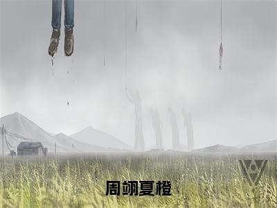 周翊夏橙（周翊夏橙）全文免费阅读无弹窗大结局_（周翊夏橙）免费阅读无弹窗最新章节列表