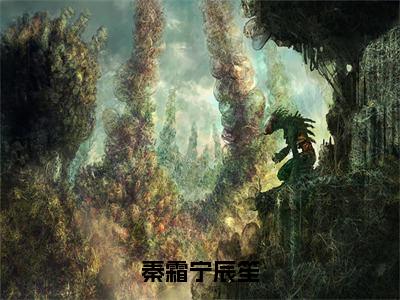 小说秦霜宁辰笙（秦霜宁辰笙）全文免费阅读-最火热门小说秦霜宁辰笙最新章节更新