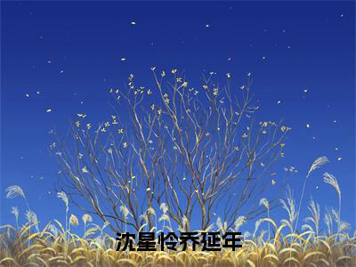 小说沈星怜乔延年全文免费阅读无弹窗大结局_沈星怜乔延年完整阅读