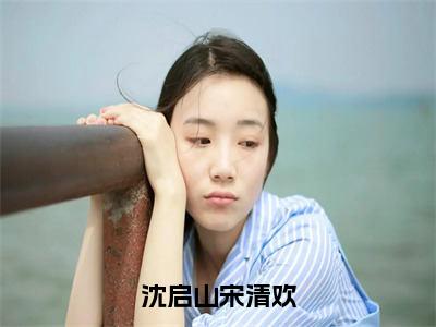 沈启山宋清欢无广告免费阅读-小说宋清欢沈启山最后结局如何