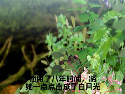 岑今安韩胤臣全文免费阅读大结局他用了八年时间，将她一点点凿成了白月光最新章节列表