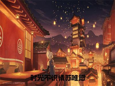 苏唯愿谢景庭小说（时光不识情苏唯愿）无弹窗大结局-时光不识情苏唯愿（苏唯愿谢景庭）完整版免费阅读