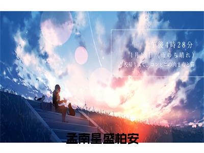 孟南星盛柏安在线阅读（孟南星盛柏安）全文免费阅读大结局_孟南星盛柏安免费最新章节列表_笔趣阁