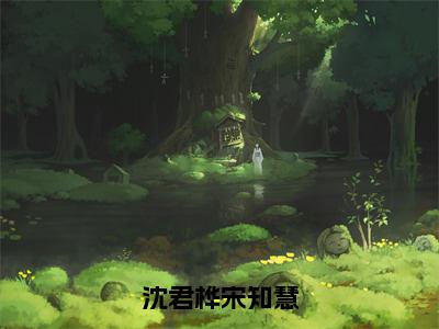 宋知慧沈君桦（沈君桦宋知慧）全文免费阅读大结局_宋知慧沈君桦（沈君桦宋知慧）免费在线阅读无删减_笔趣阁