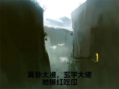 算卦太准，玄学大佬她爆红吃瓜小说（司遥宋闻景）全文免费阅读_算卦太准，玄学大佬她爆红吃瓜小说司遥宋闻景小说最新章节列表笔趣阁